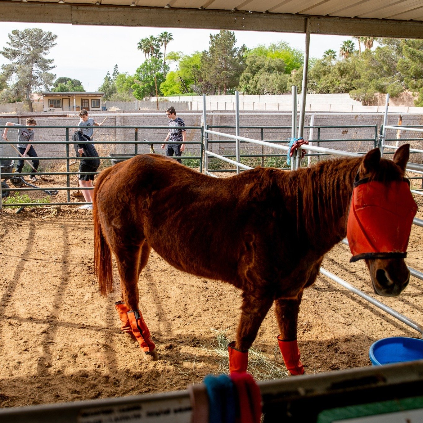 One of our favorite middle school traditions is our All School Service Day!

Earlier this month over 600 middle school students went out into the community to give back in meaningful ways, from stuffing Easter eggs and organizing classroom supplies t