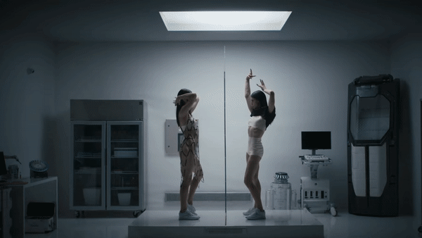 Arca.gif