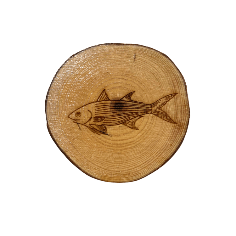 Moi Coasters