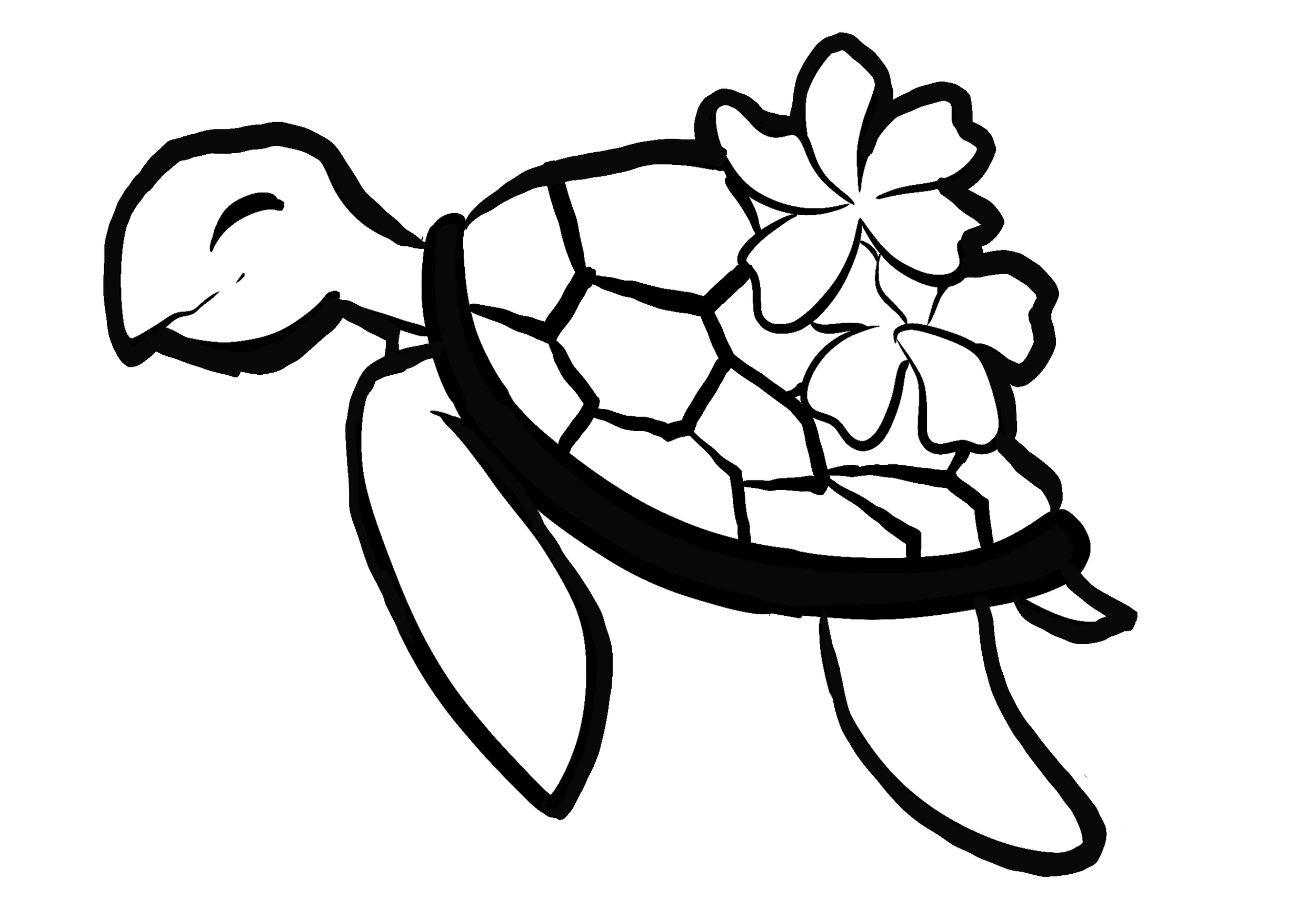 Honu by Akasha