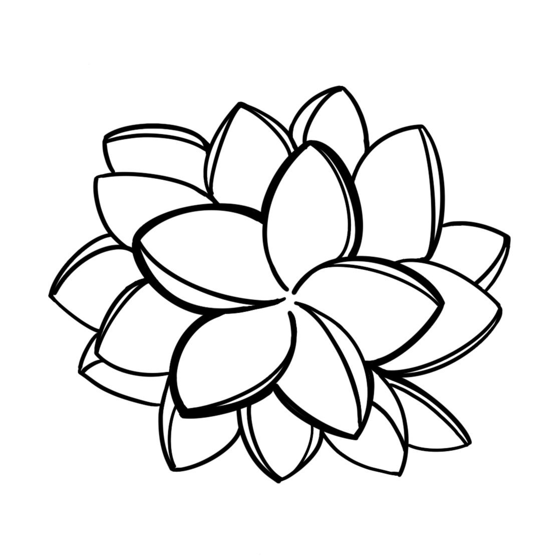 Plumeria Rosette by Madison