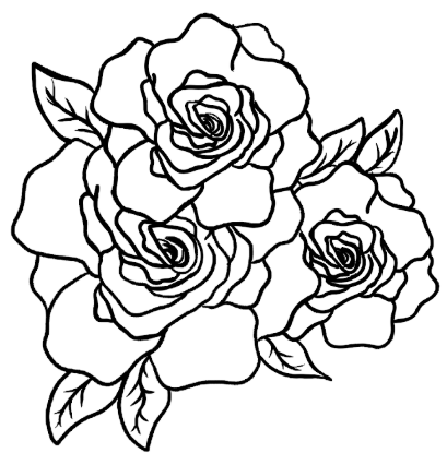 Gardenia by Ava