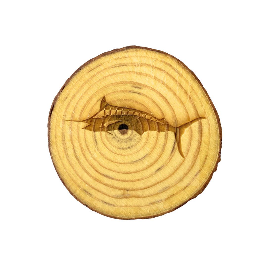 Aʻu Coasters