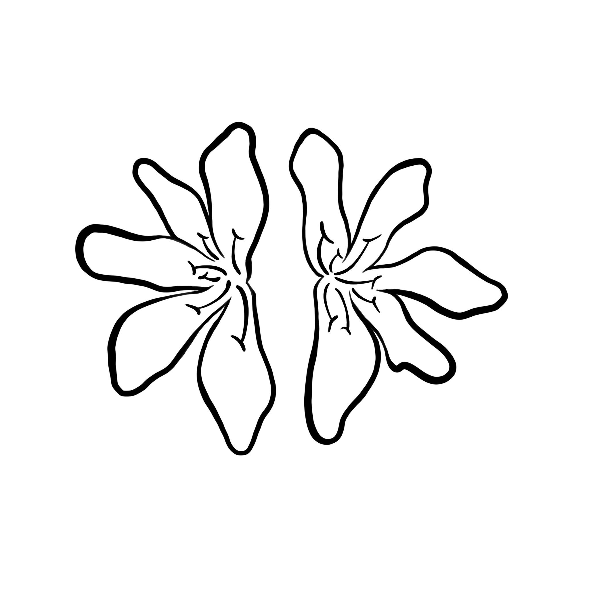 Naupaka Flowers  2 by Kaname