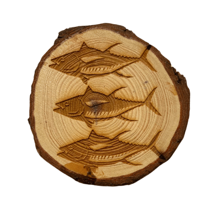 Ahi (Tuna) Coasters