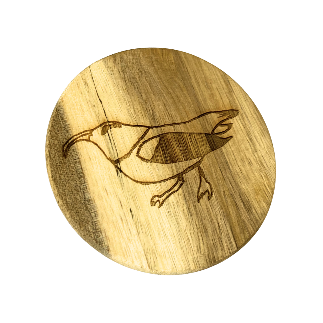 Iʻiwi Coasters
