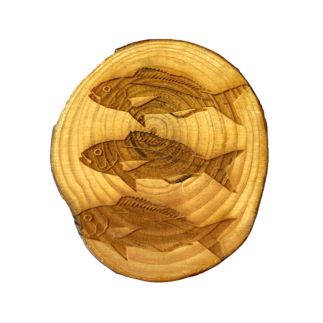 Opakapaka Coasters