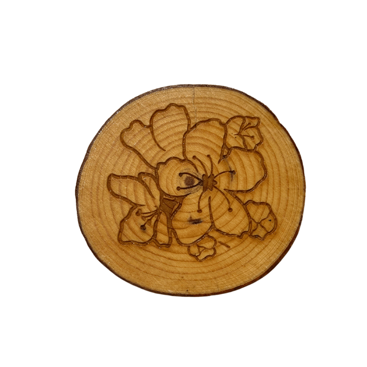 Sakura Blossoms Coasters