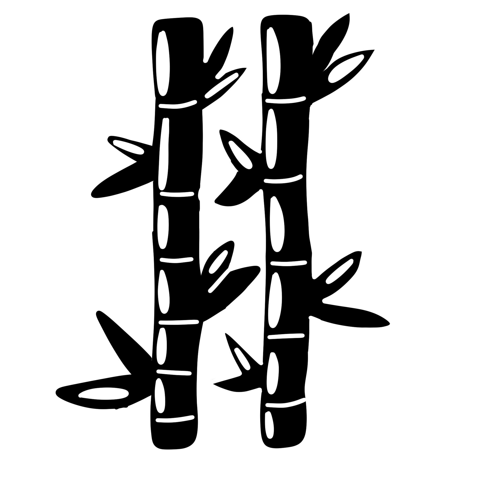 Bamboo by Kaylee