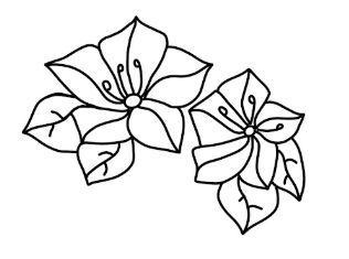 Pa'uohi'iaka by Arri