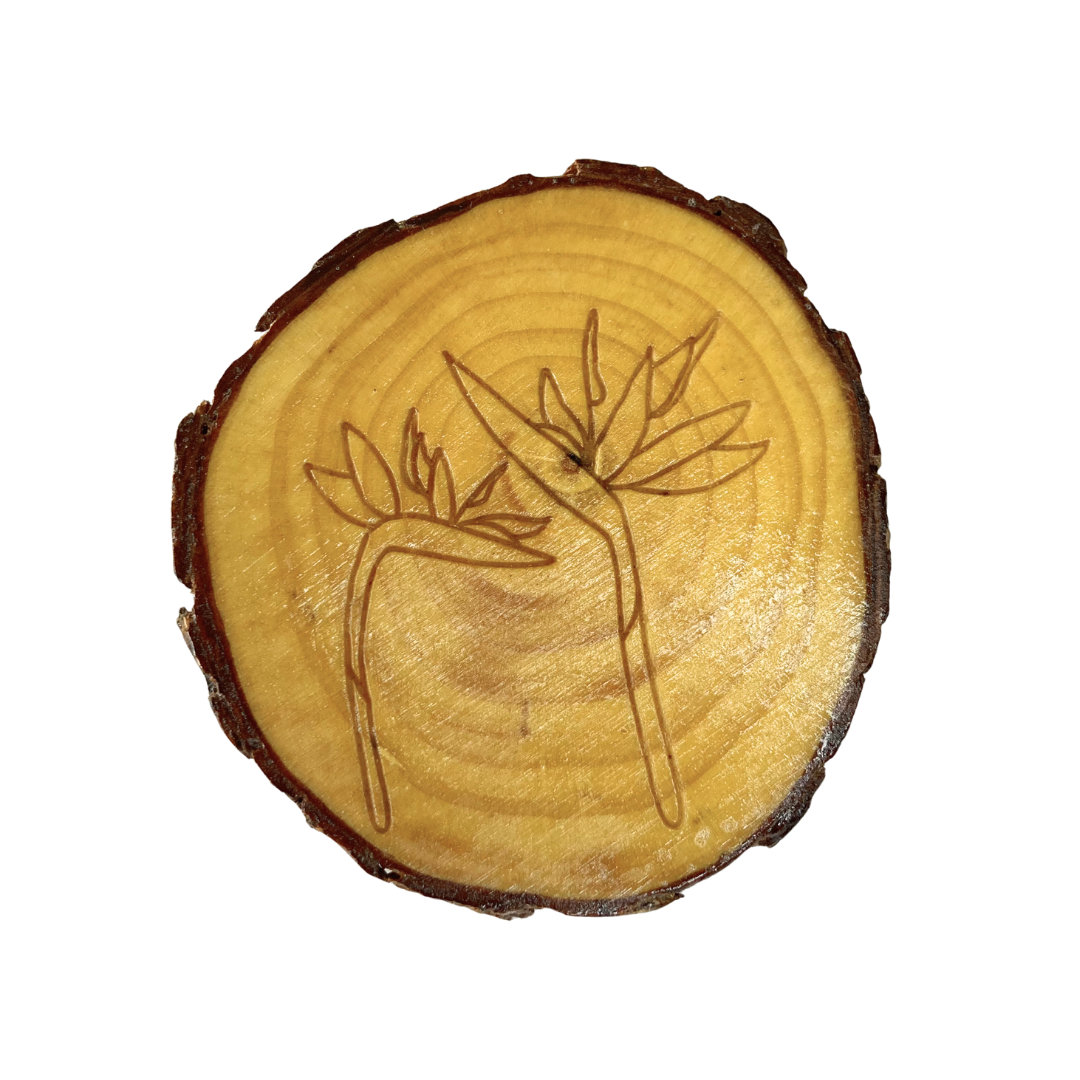 Birds of Paradise Coasters
