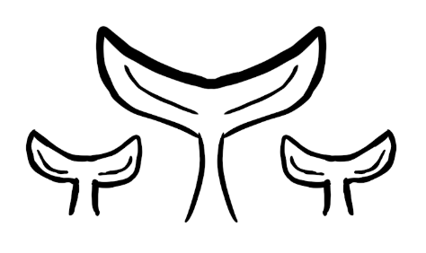 Whale Tails by Alex