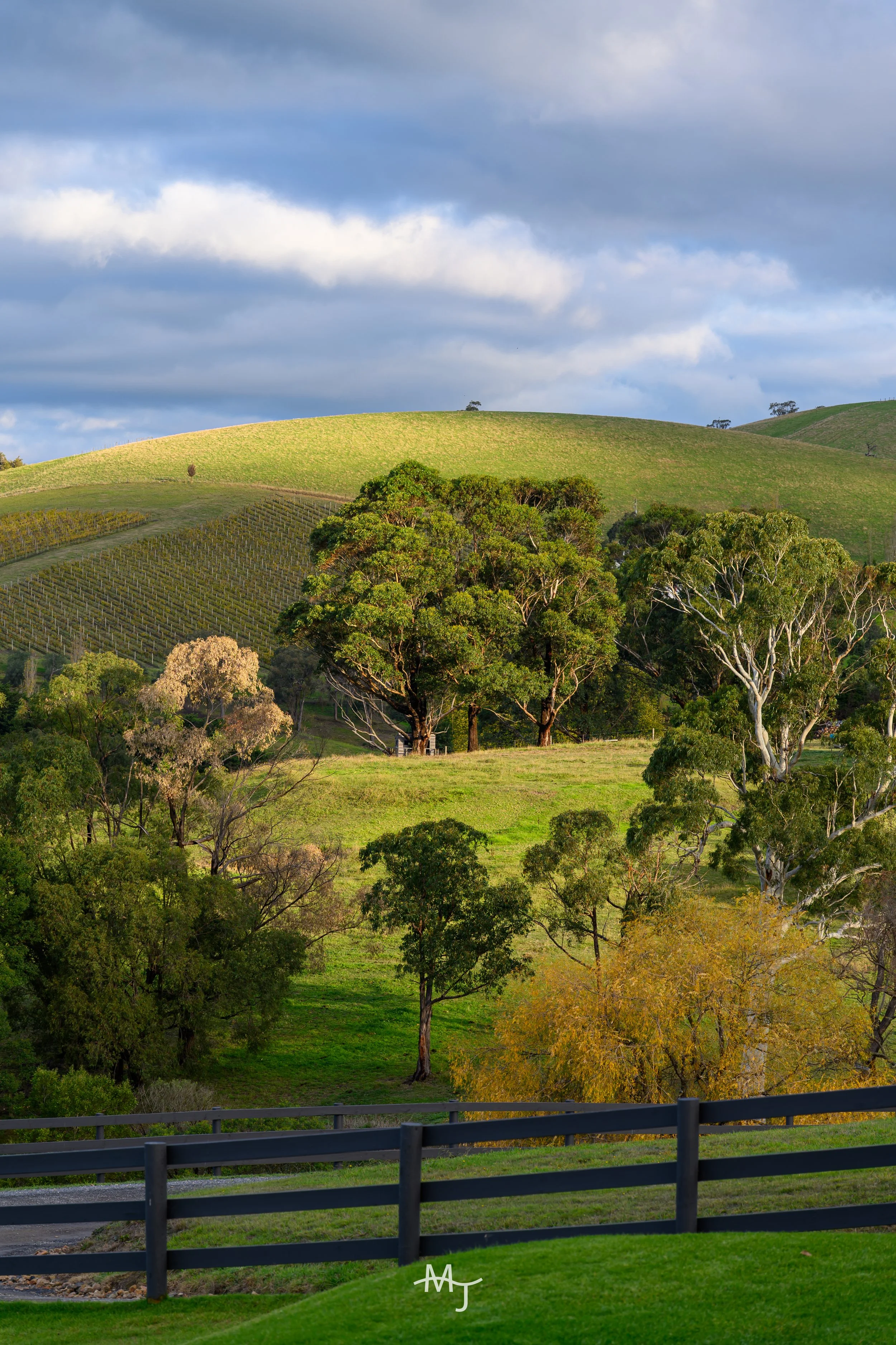 Yarra Valley.jpg