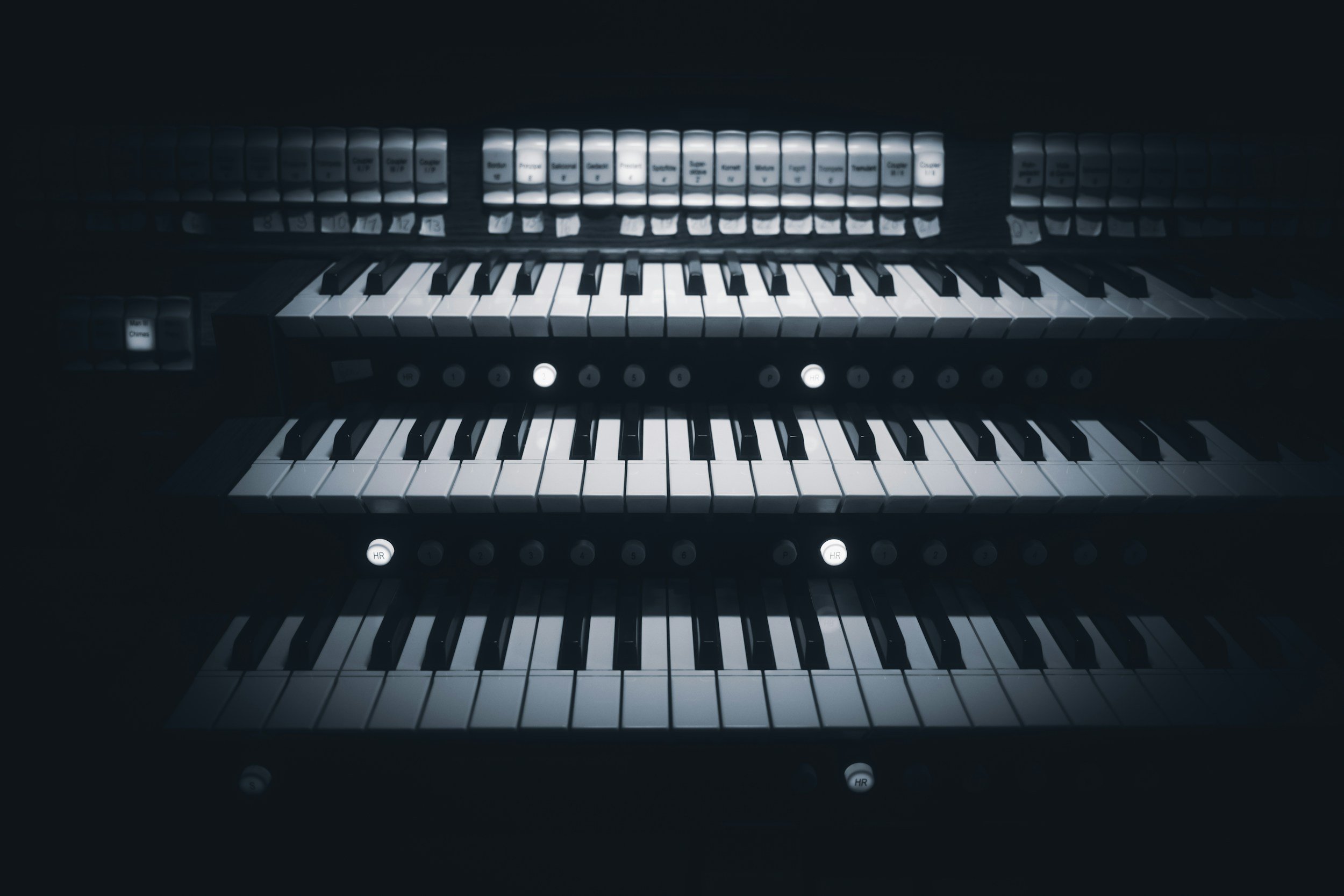 Organ Concert