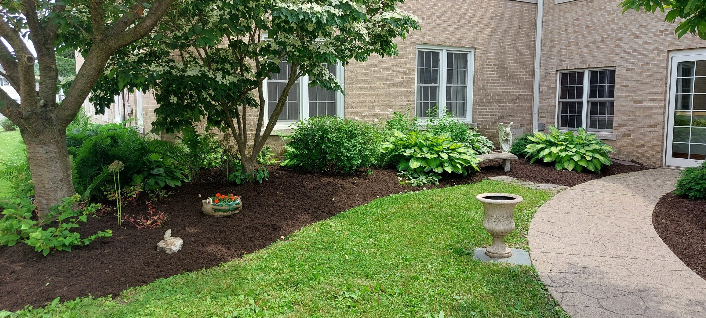 Yard Clean up
