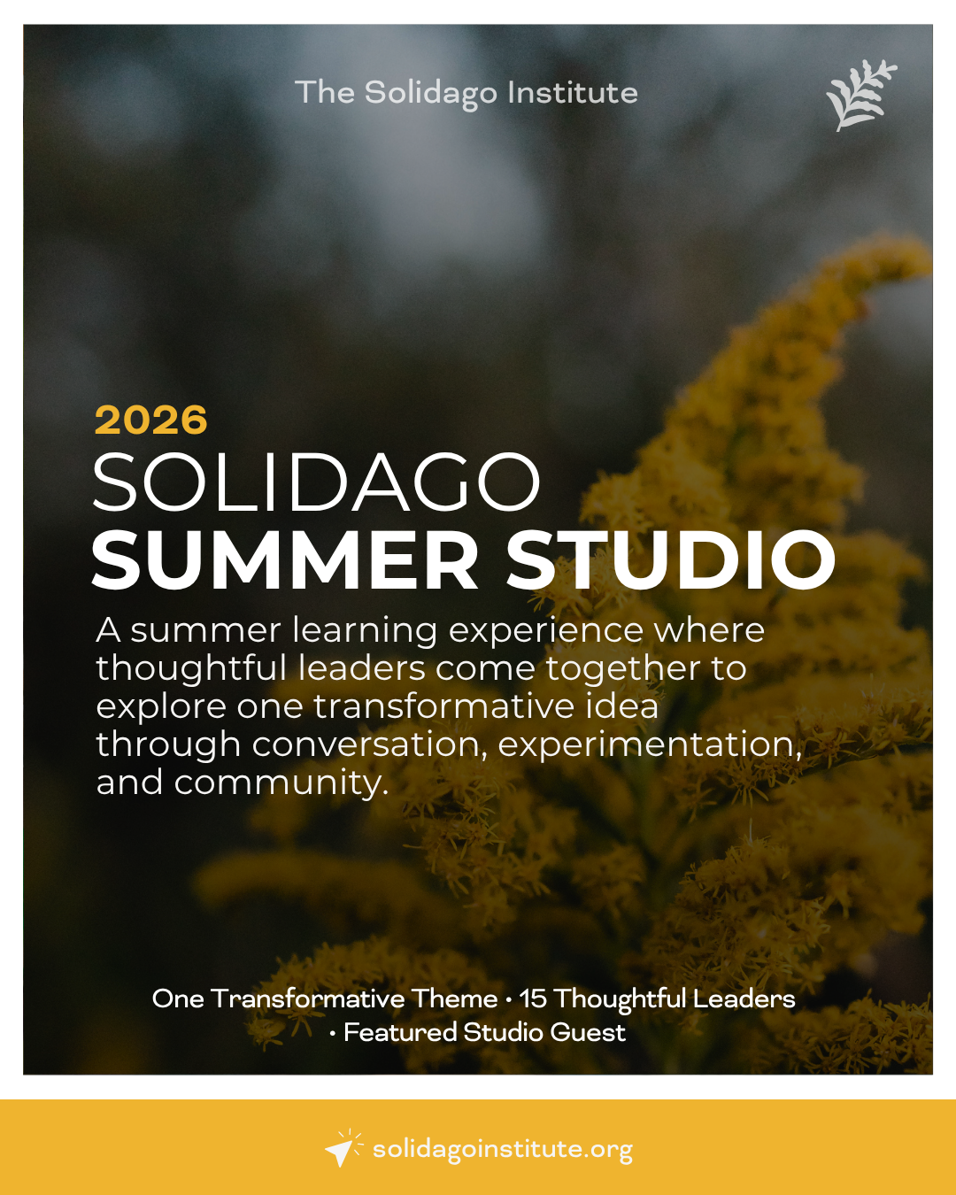 2026 Solidago Summer Studio
