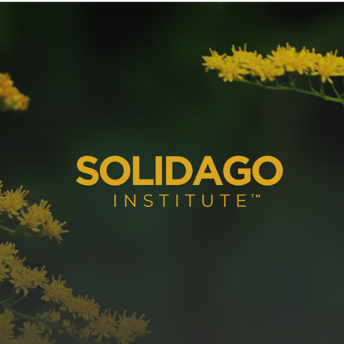 Introducing The Solidago Institute