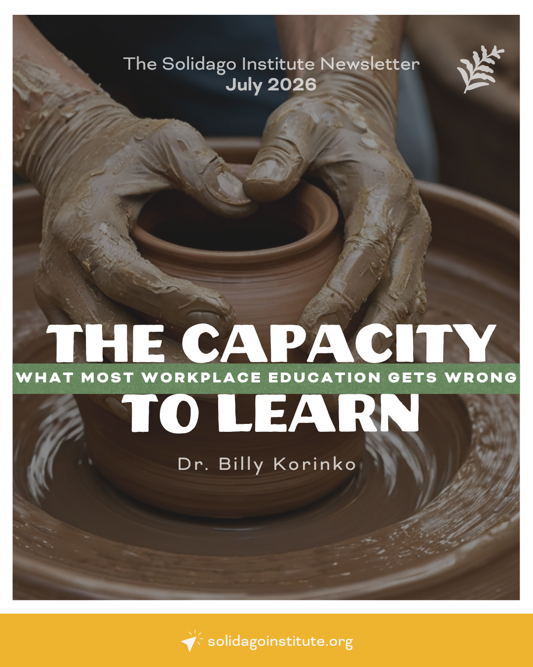 The Capacity To Learn