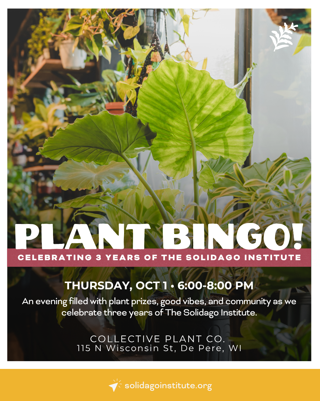 Plant Bingo!