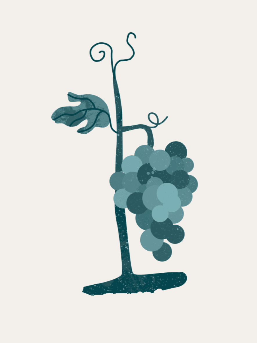Webseite%2BFavicon%2BTraube%2Bklein.png