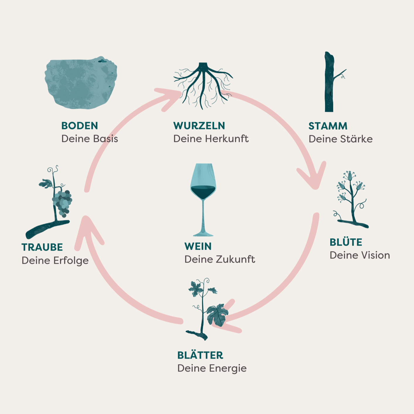 Der gesamte Zyklus einer Weinrebe ist zu sehen mit den Metaphern
