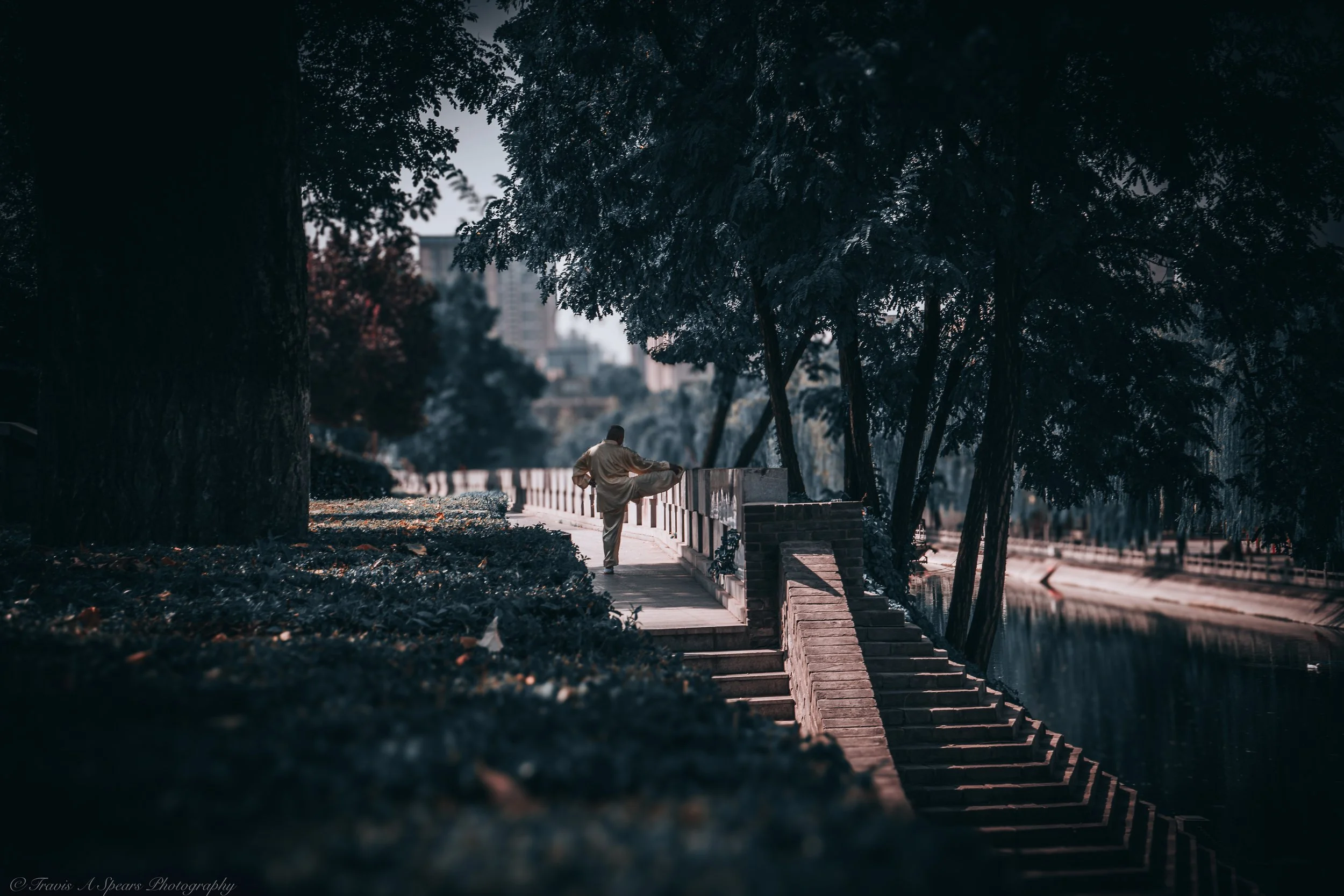 Elderly Wisdom: Serene Portrait in Xi'an City Wall Park