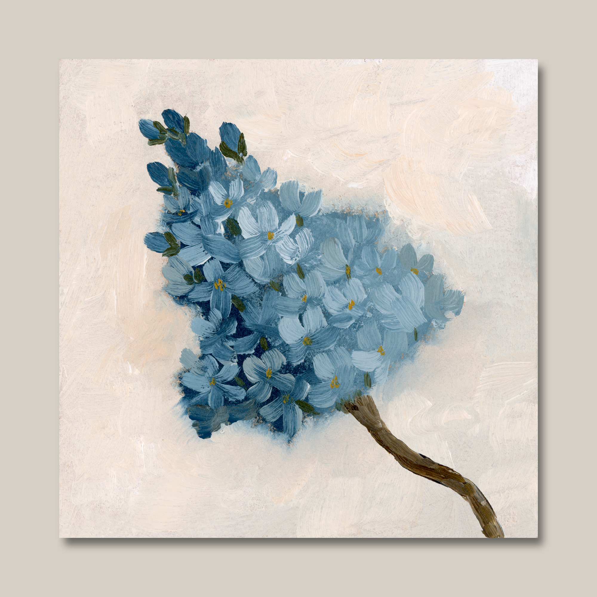 blue_lilac_square.png