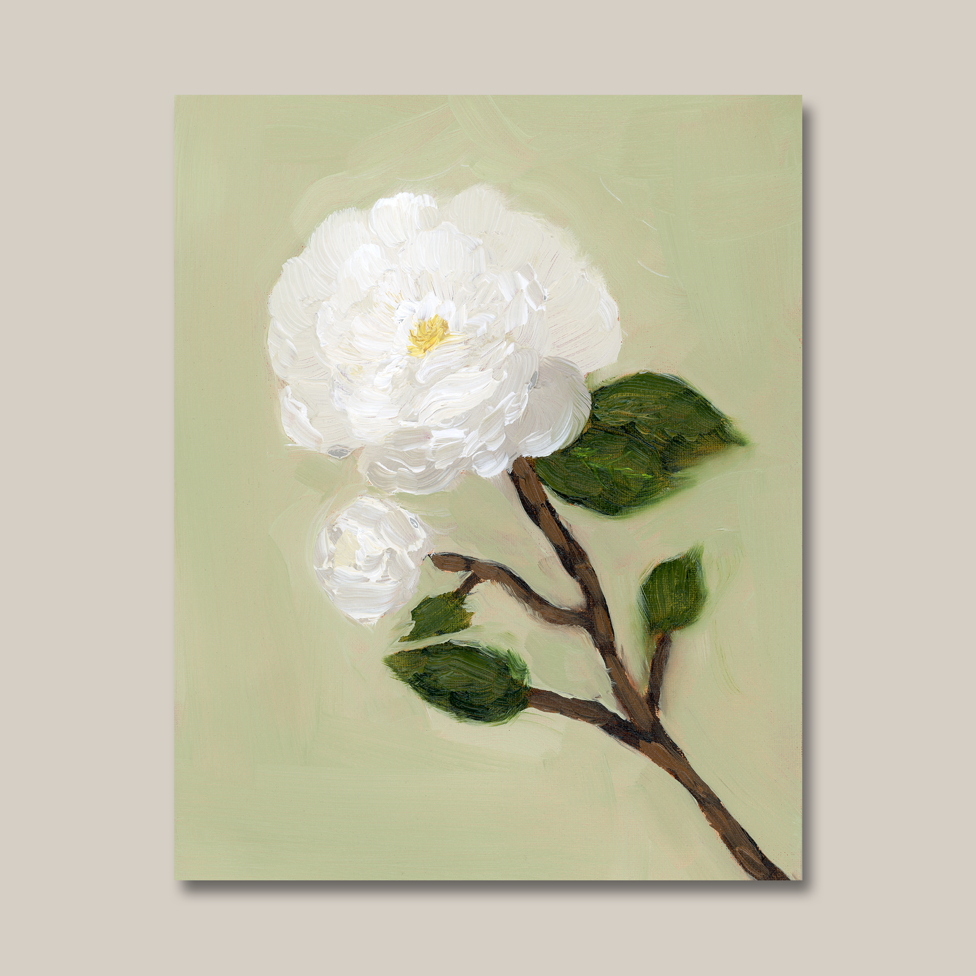 camelia_8x10.png