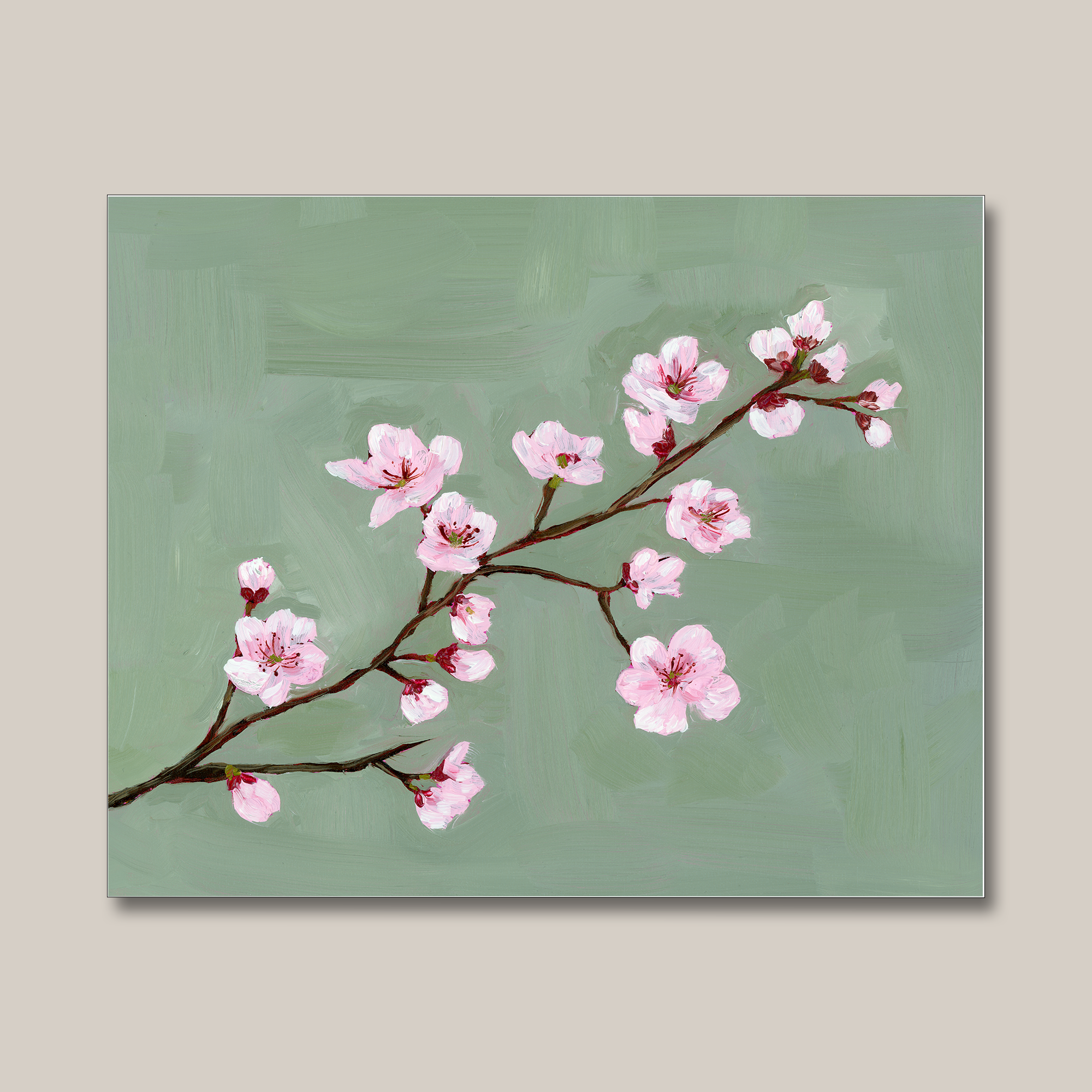 cherry_blossoms_8x10.png