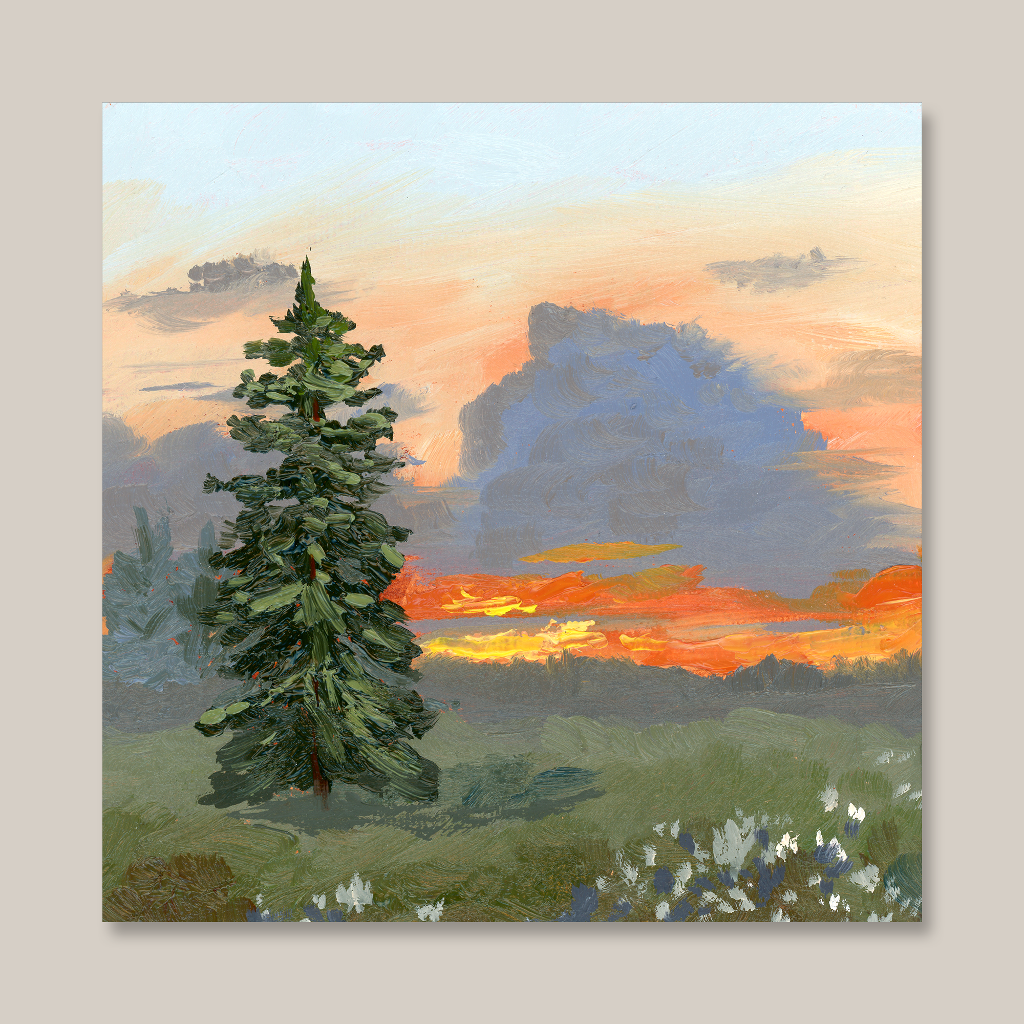 "Sunset Behind the Pine" Print
