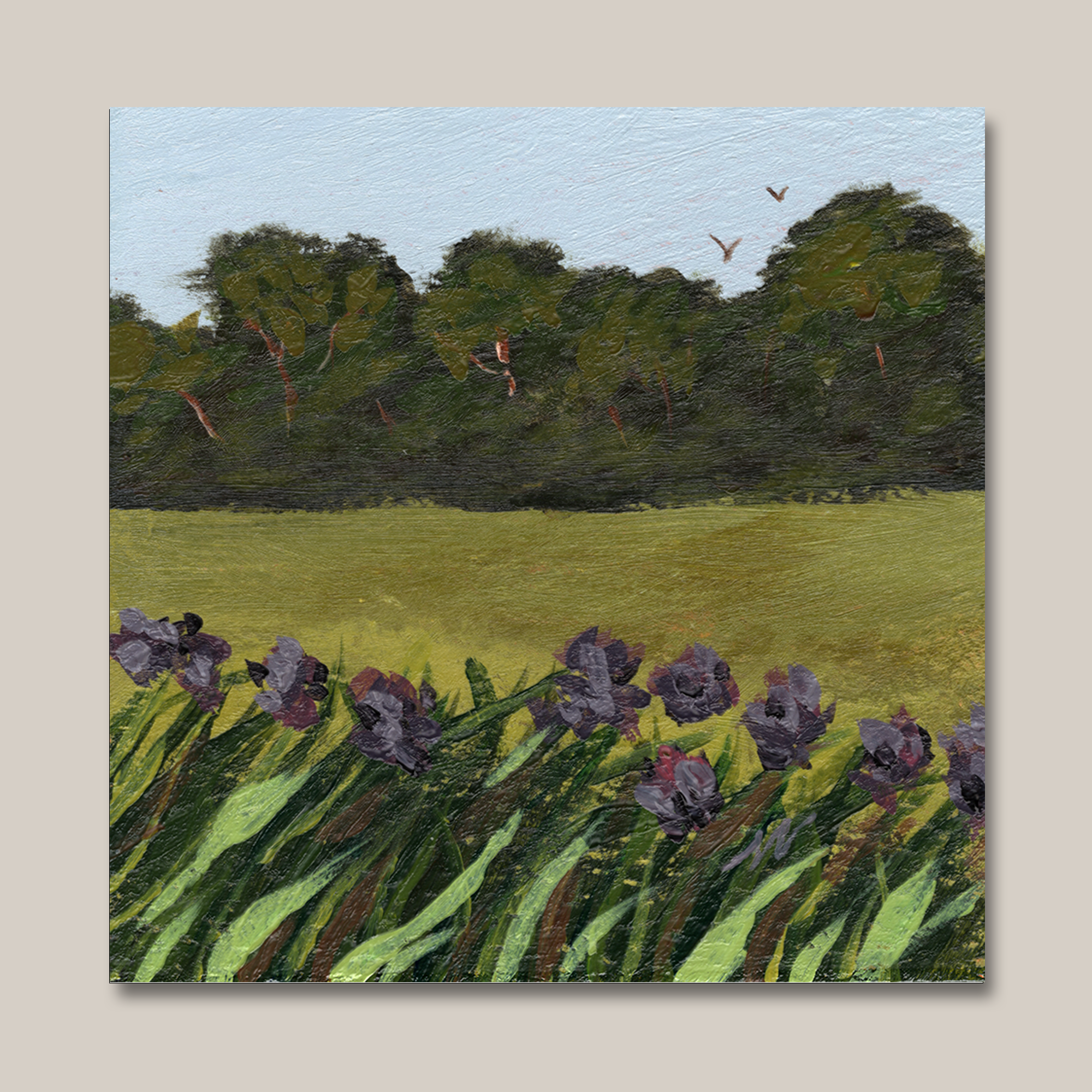 Among_the_wildflowers_square.png