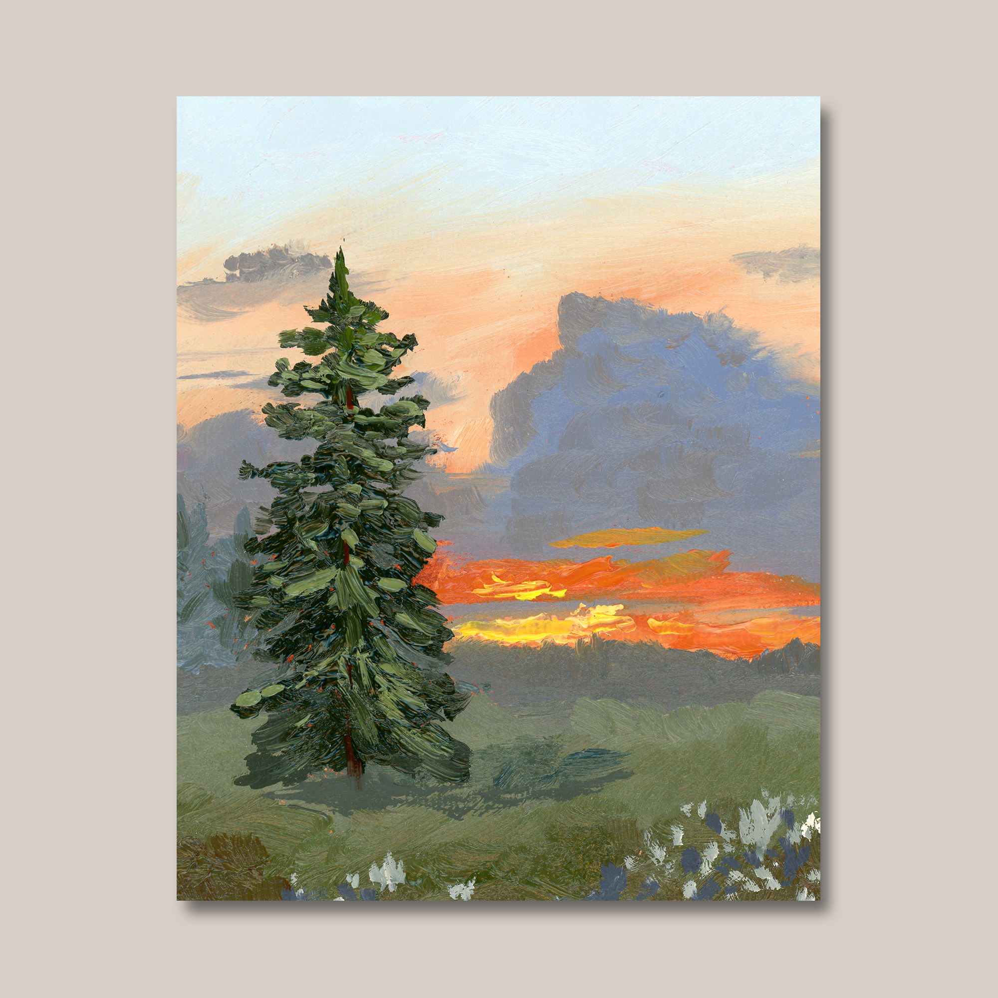 sunset_behind_the_pine_8x10.png