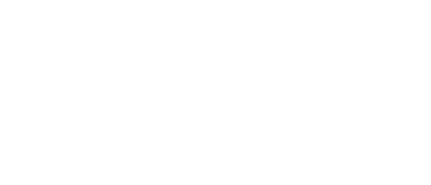 Bison Developments