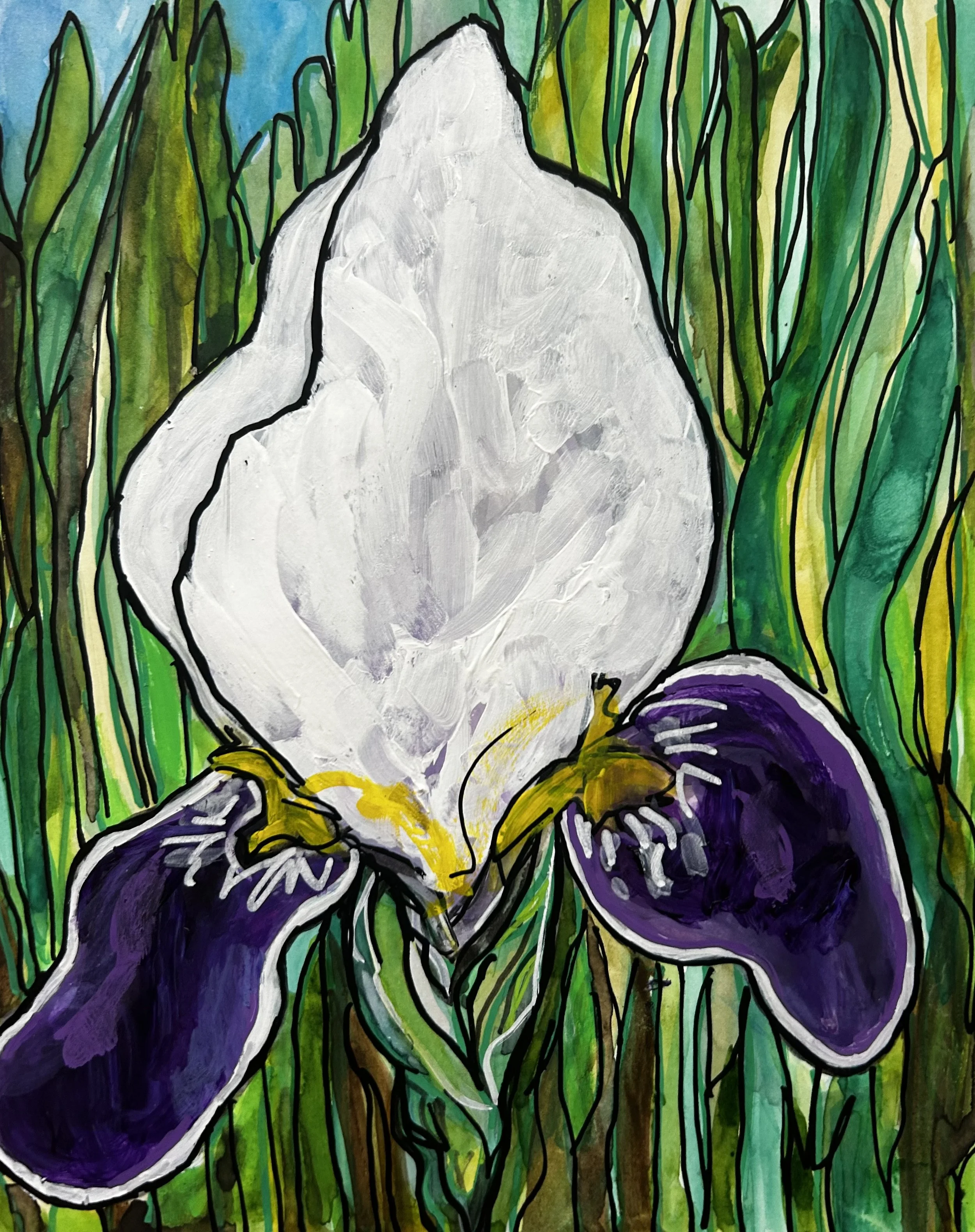 Iris 3.jpg