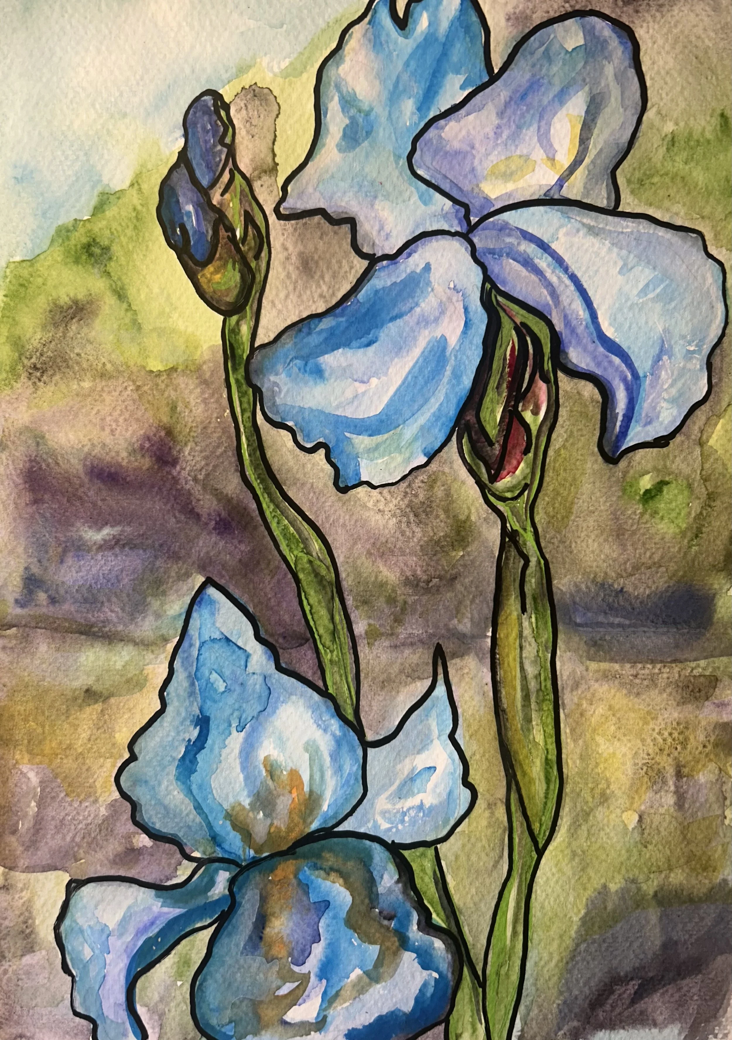 Iris in blue.jpg