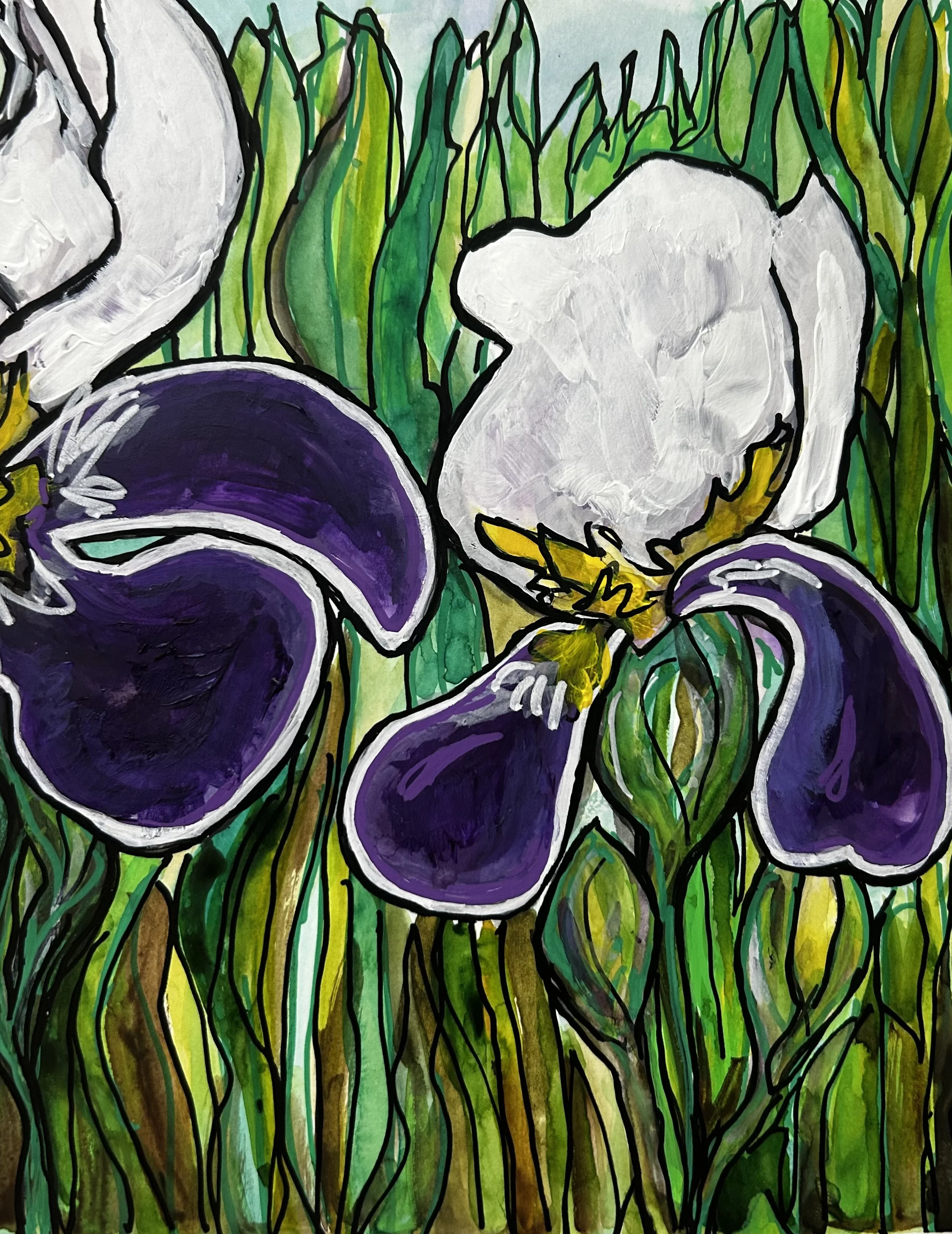 iris 2.jpg