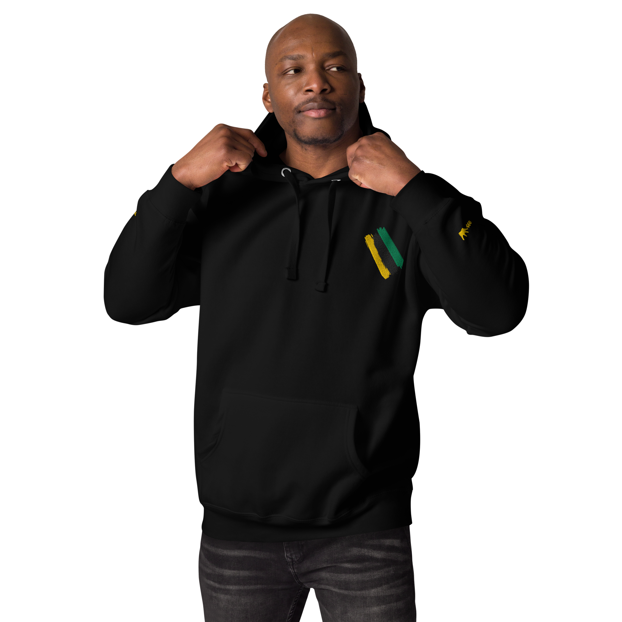 cotton-heritage-m2580-i-unisex-premium-pullover-hoodie-black-front-68b54fd0e88f7.png