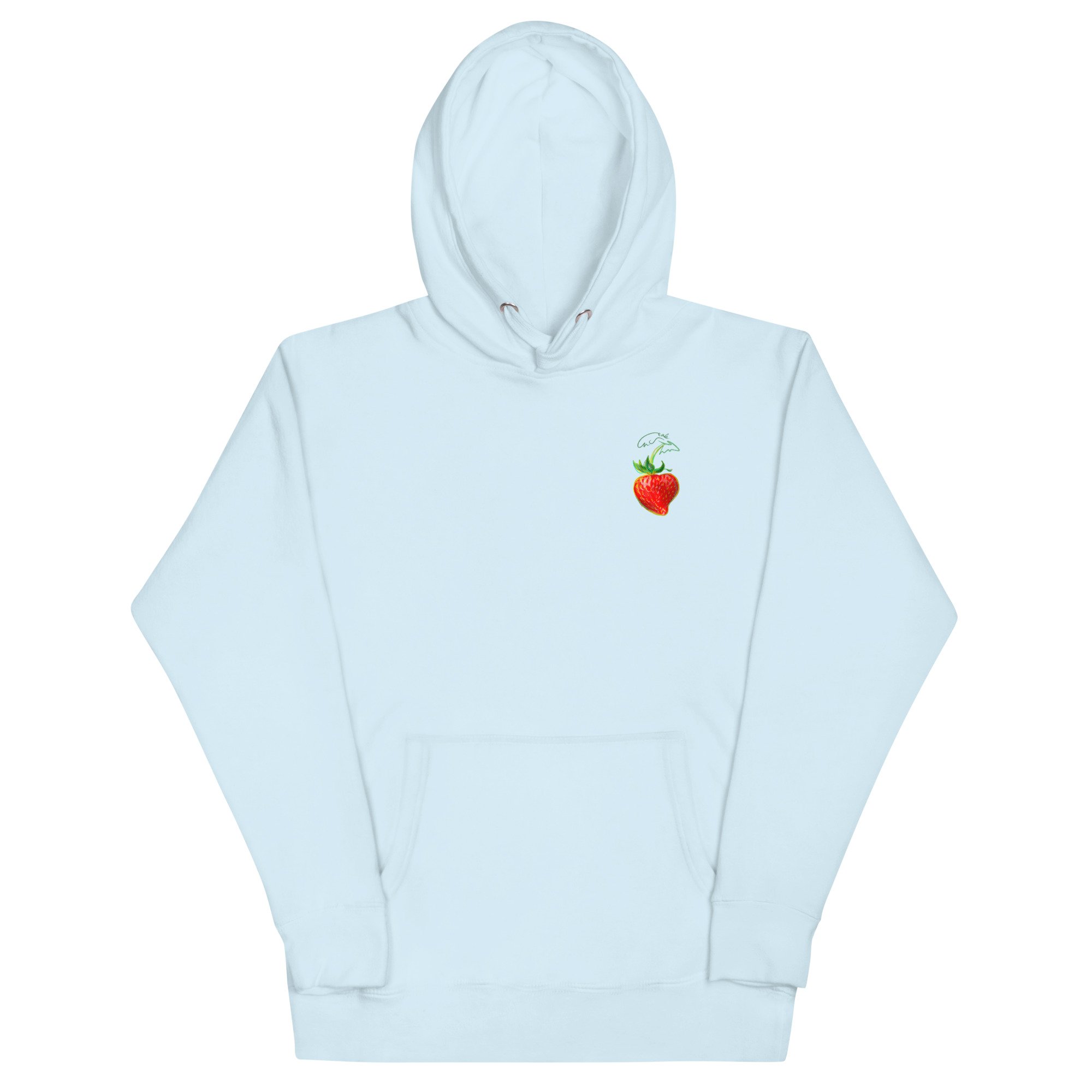 unisex-premium-pullover-hoodie-sky-blue-front-6a7f62539e856.jpg