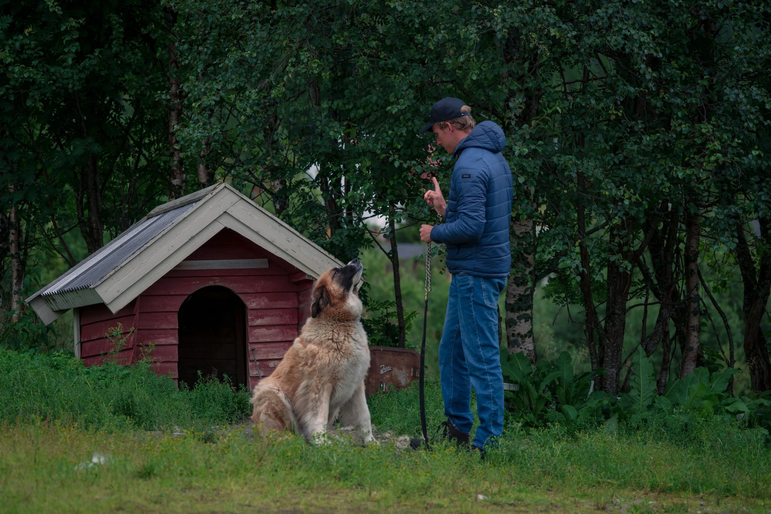 Stay - Sjøvassbotn, Norway