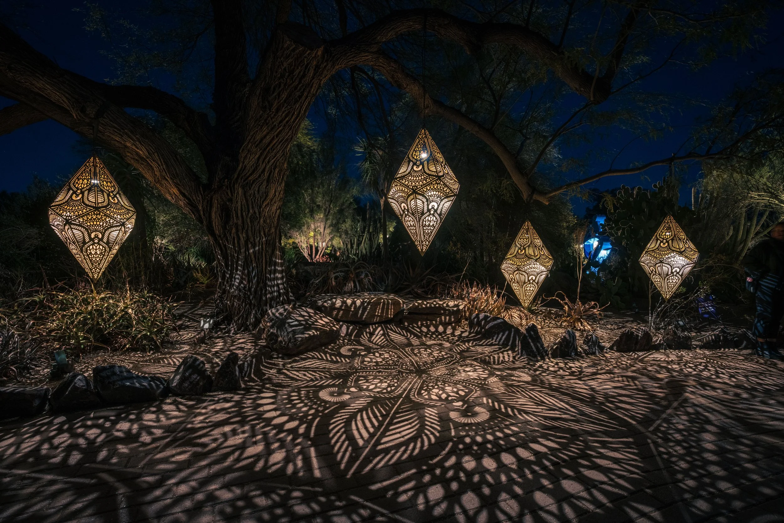 Outdoor scene at night with large tree, illuminated decorative hanging lanterns, and intricate shadow patterns on the ground created by the lanterns' light.