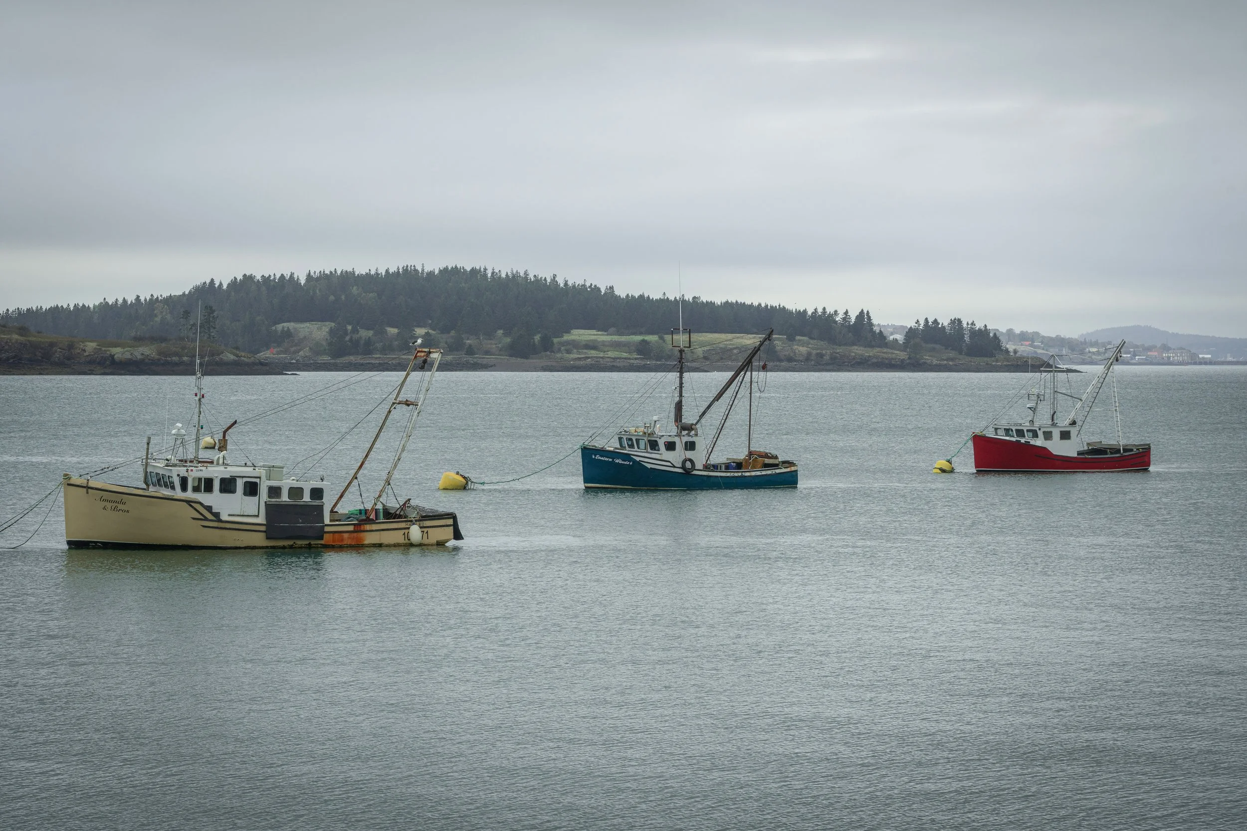 Tethered to the Tide, Lubec Maine