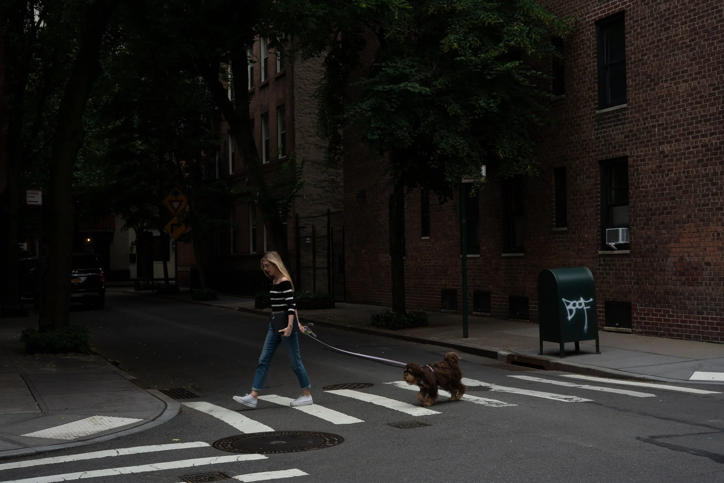Crosswalk - NYC, New York