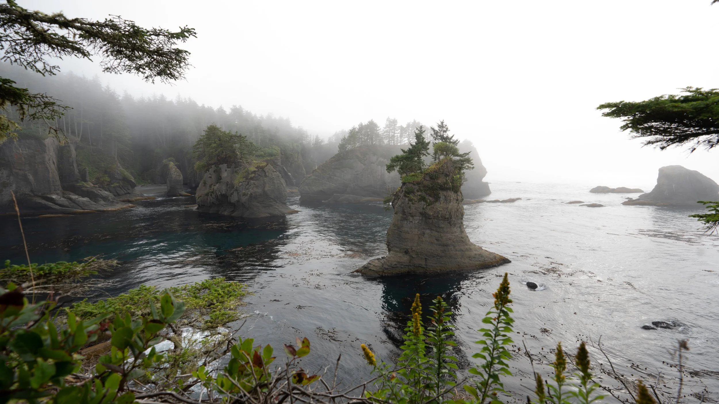 Cape Flattery, Washington
