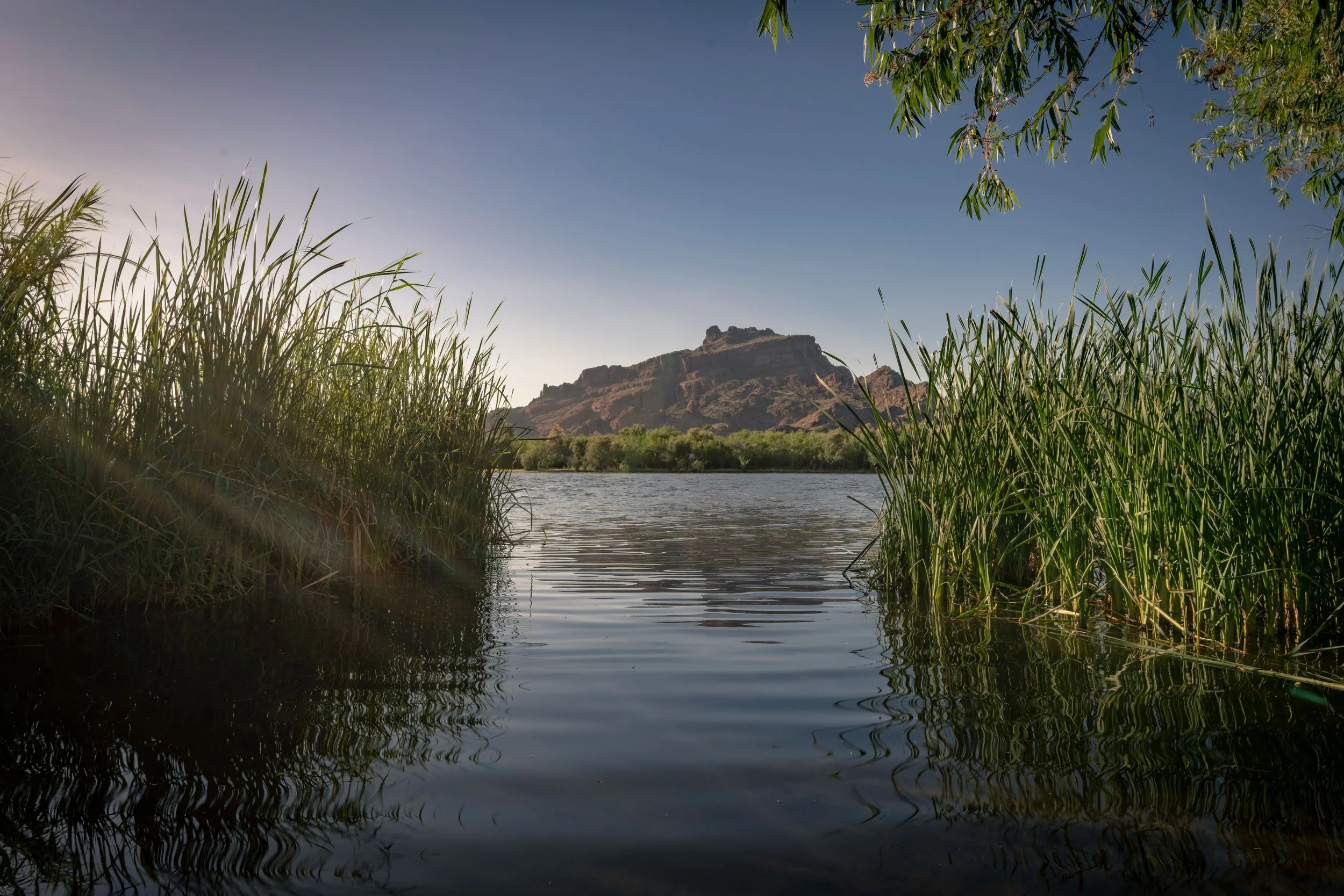 Red Mountain Reflected.jpg