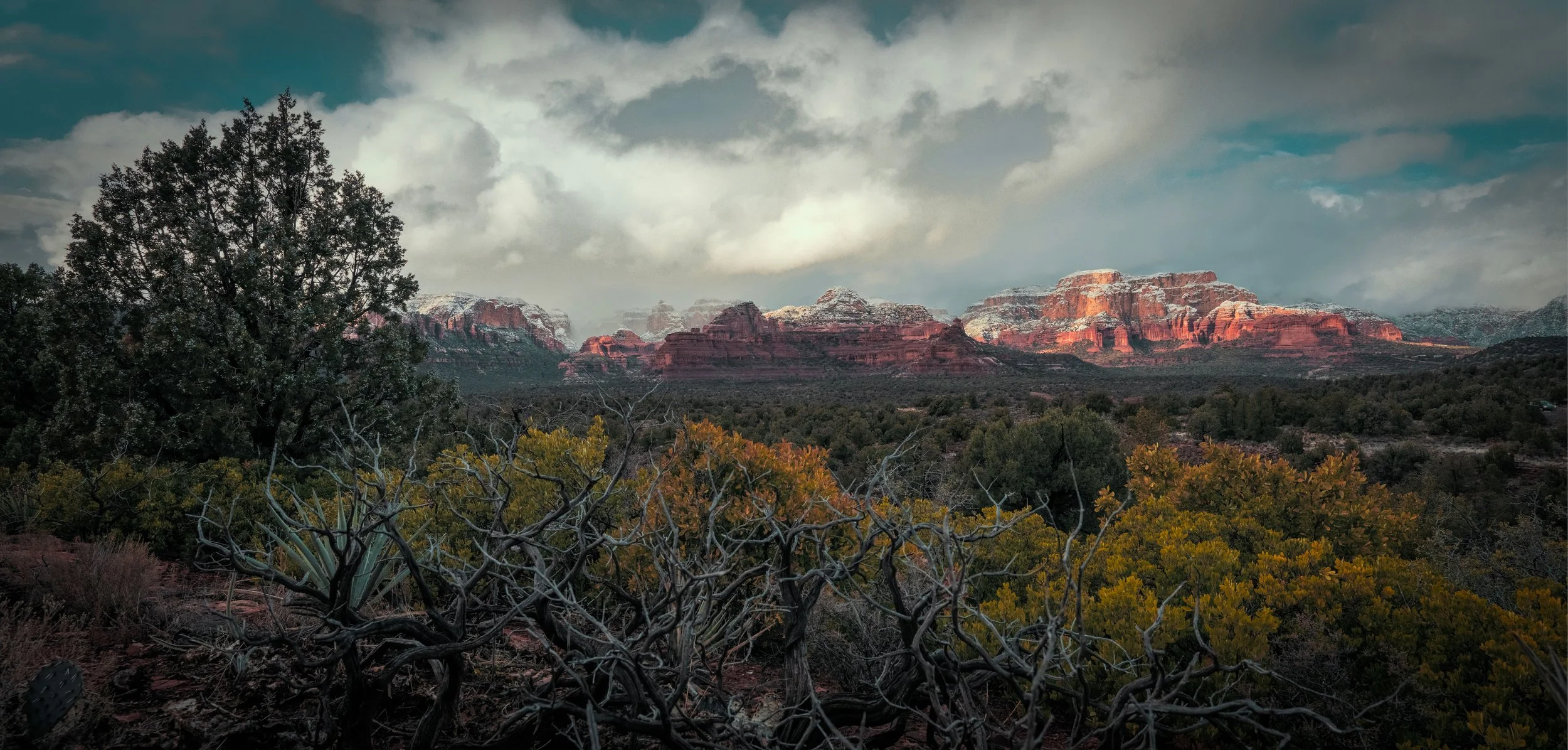 Winter In The Distance.jpg