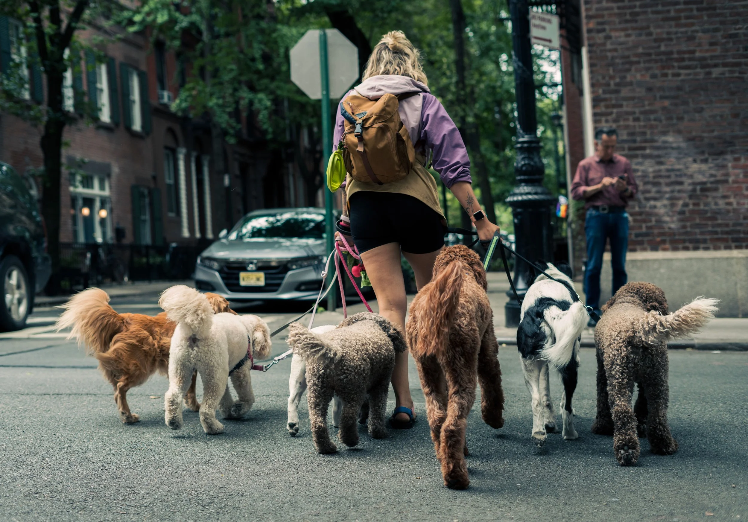 Morning Commute - New York City, New York