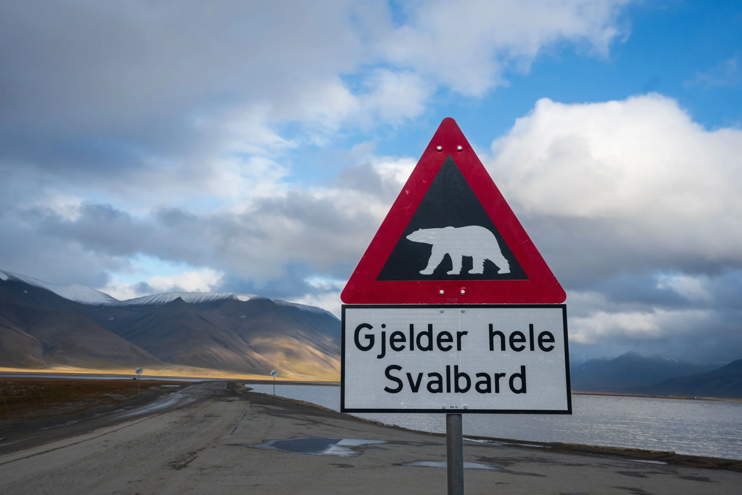 Polar Bear Territory