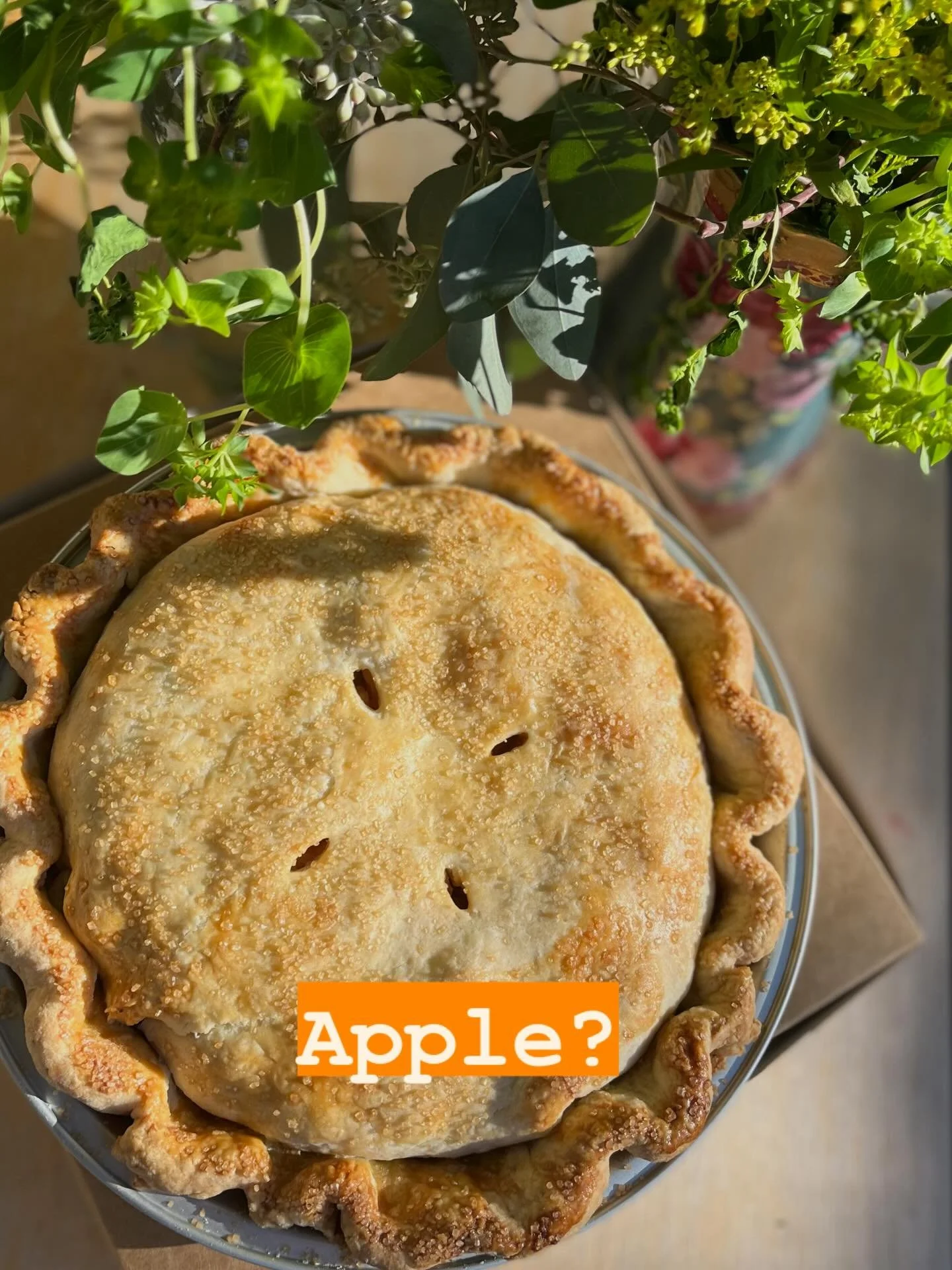 All the best pies for your Thanksgiving gathering. Check out our menu and order now!