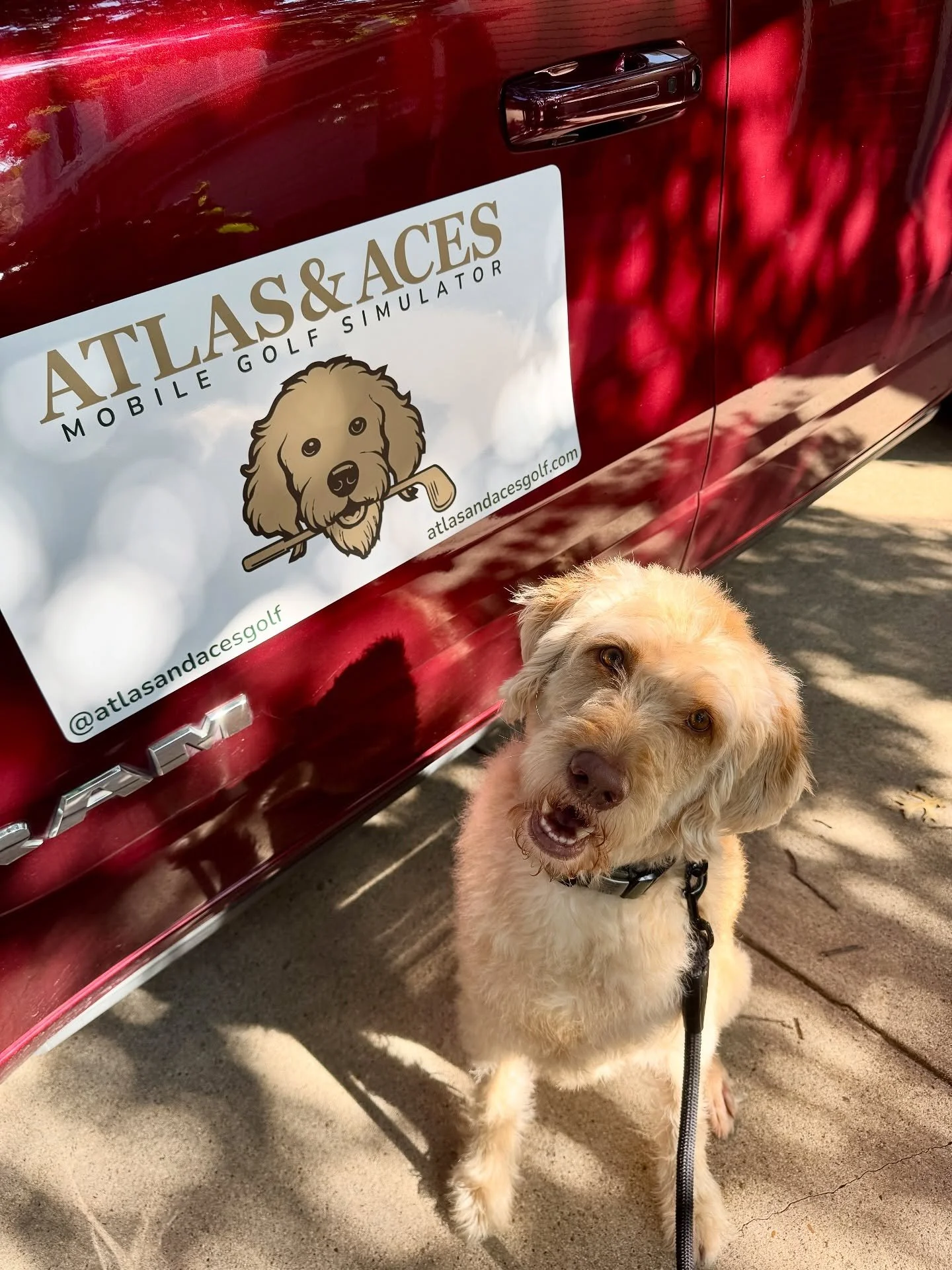 Things are getting official around here 🤩