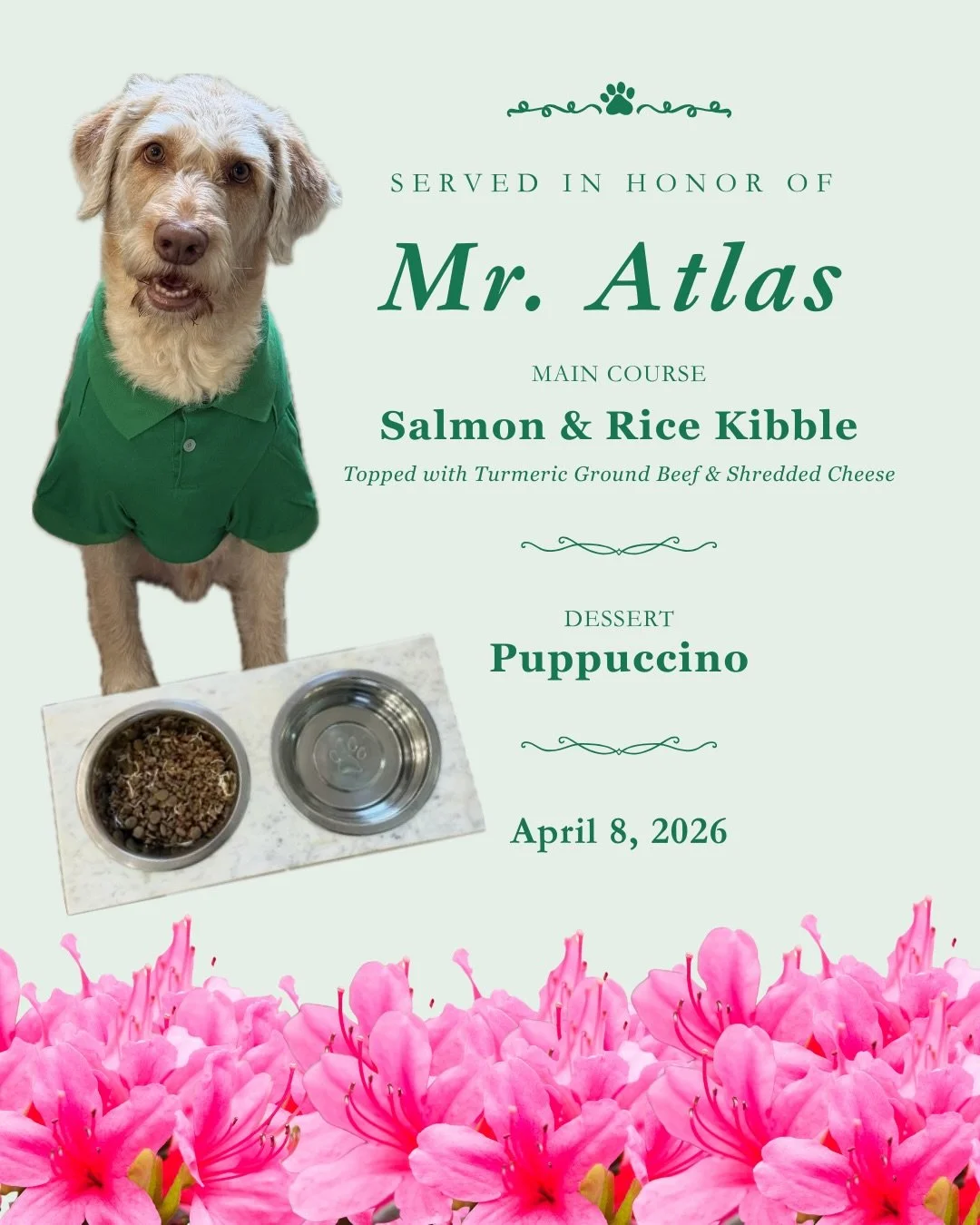 Masters Week means Champions Dinner&hellip;and at Atlas &amp; Aces, the dogs are on the guest list 🐶⛳